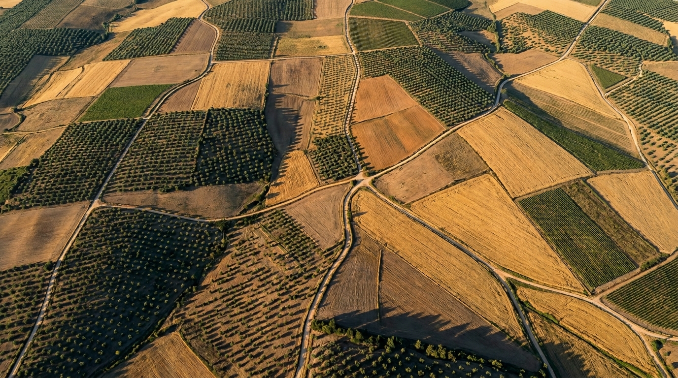 Vista aérea de campos agrícolas portugueses